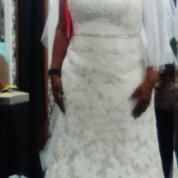 Wedding Dress w/ Veil