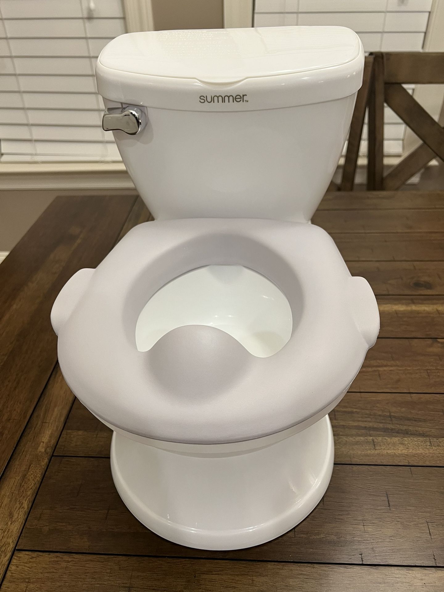 Potty Training Toilet