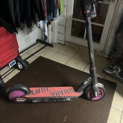 Segway Electric Scooter 