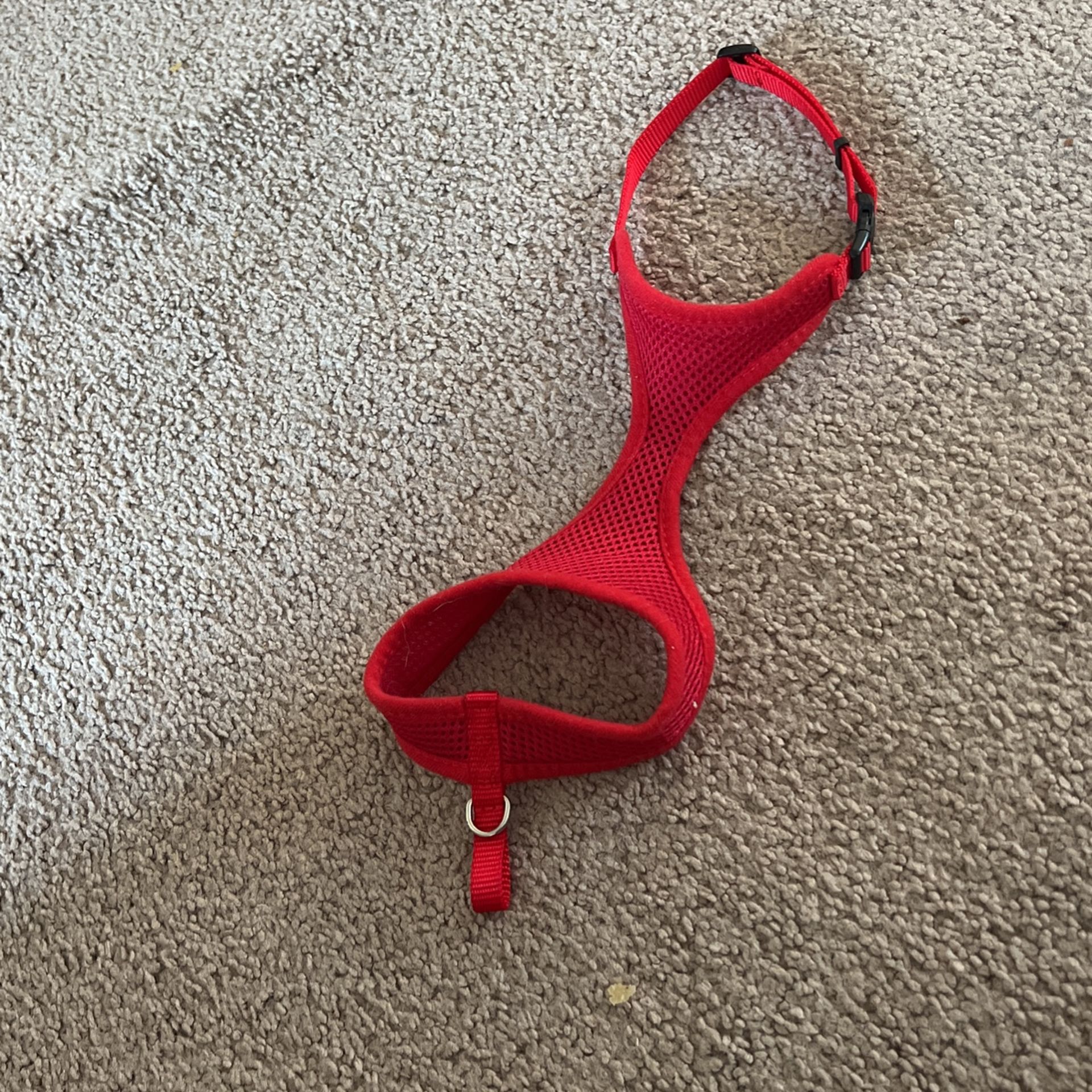 Harness For Small Cats Or Dogs