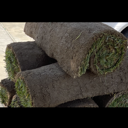 Quality  Landscape rolls