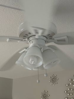 Ceiling fan