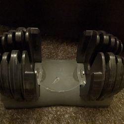 Bowflex 552 Series 1 Dumbbell Weights Plates & Tray