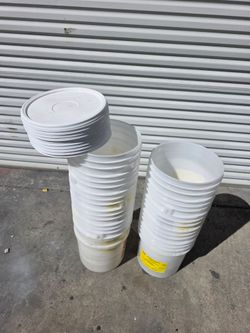 11 Buckets w/lids $15 for all