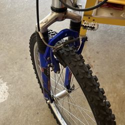 21 speed mountain bike