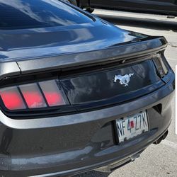 2015 Up Trunk Lid