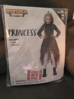 *New* Princess Costume