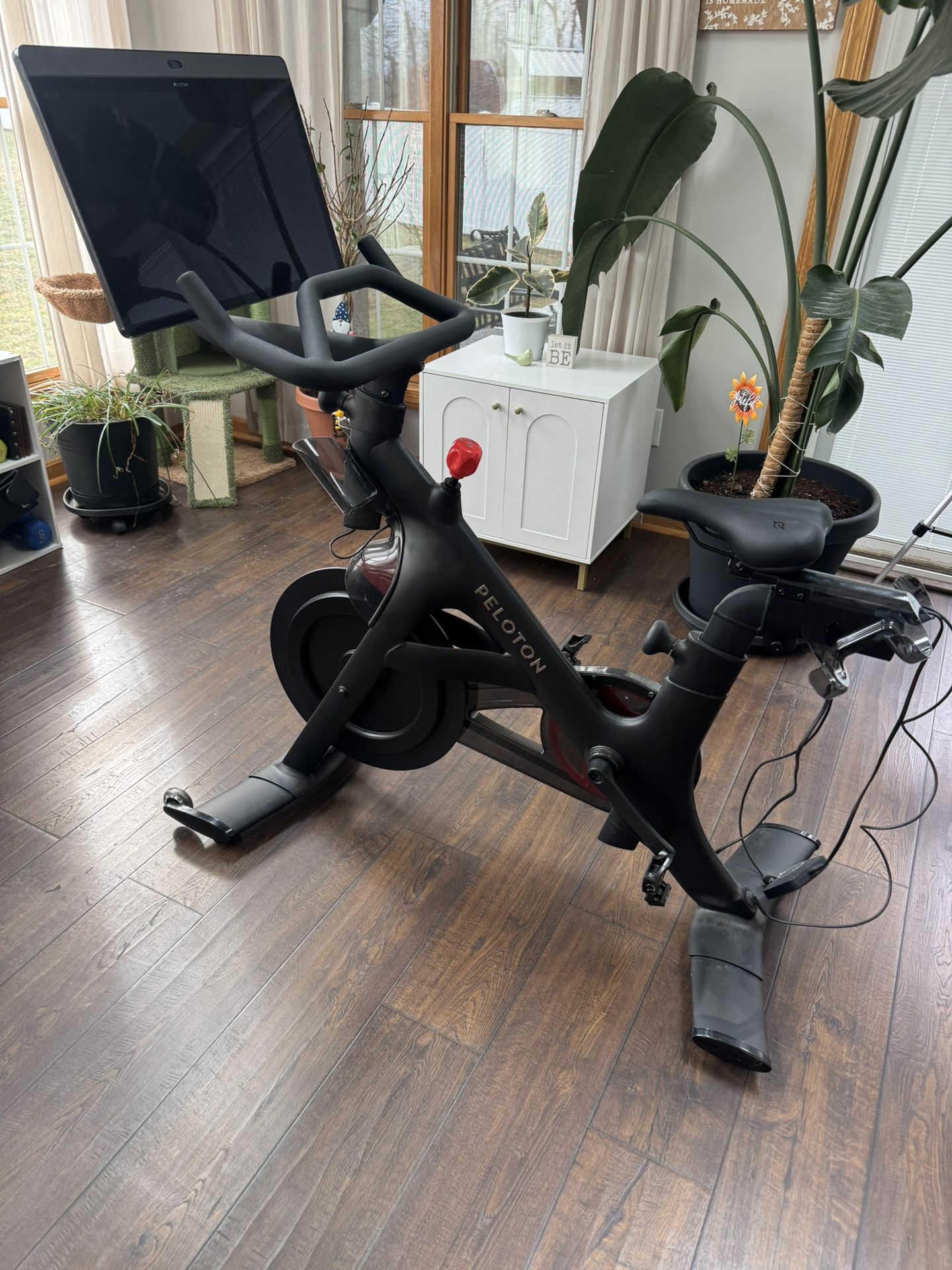 Peloton+