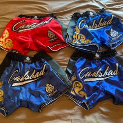 CARLSBAD KICKBOXING SHORTS