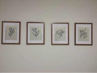Frames and Prints