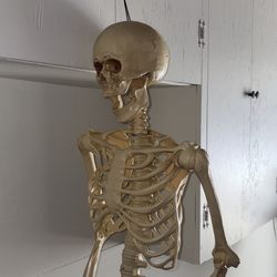 Skeleton