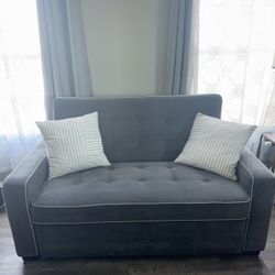 Sleeper Pullout Couch