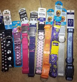 Large size dog collars
