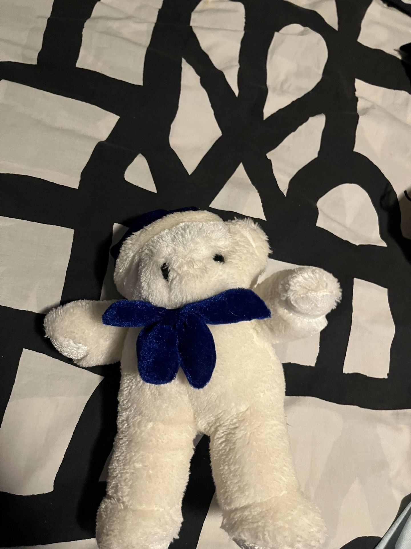 Small White Teddy Bear