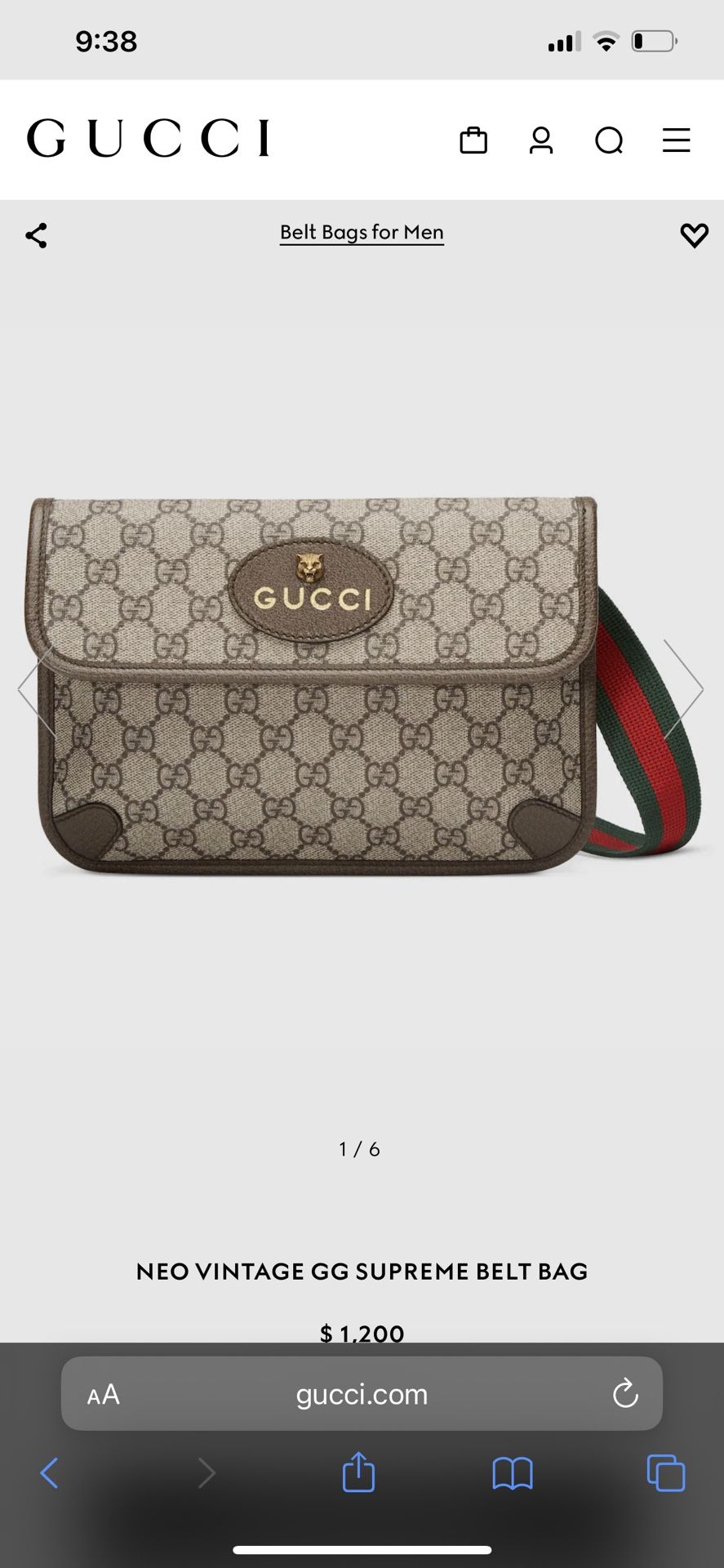 Gucci Bag