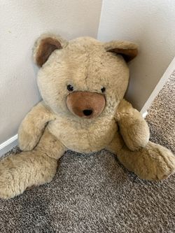 Teddy Bear