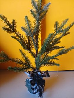 Small tree with weighted base