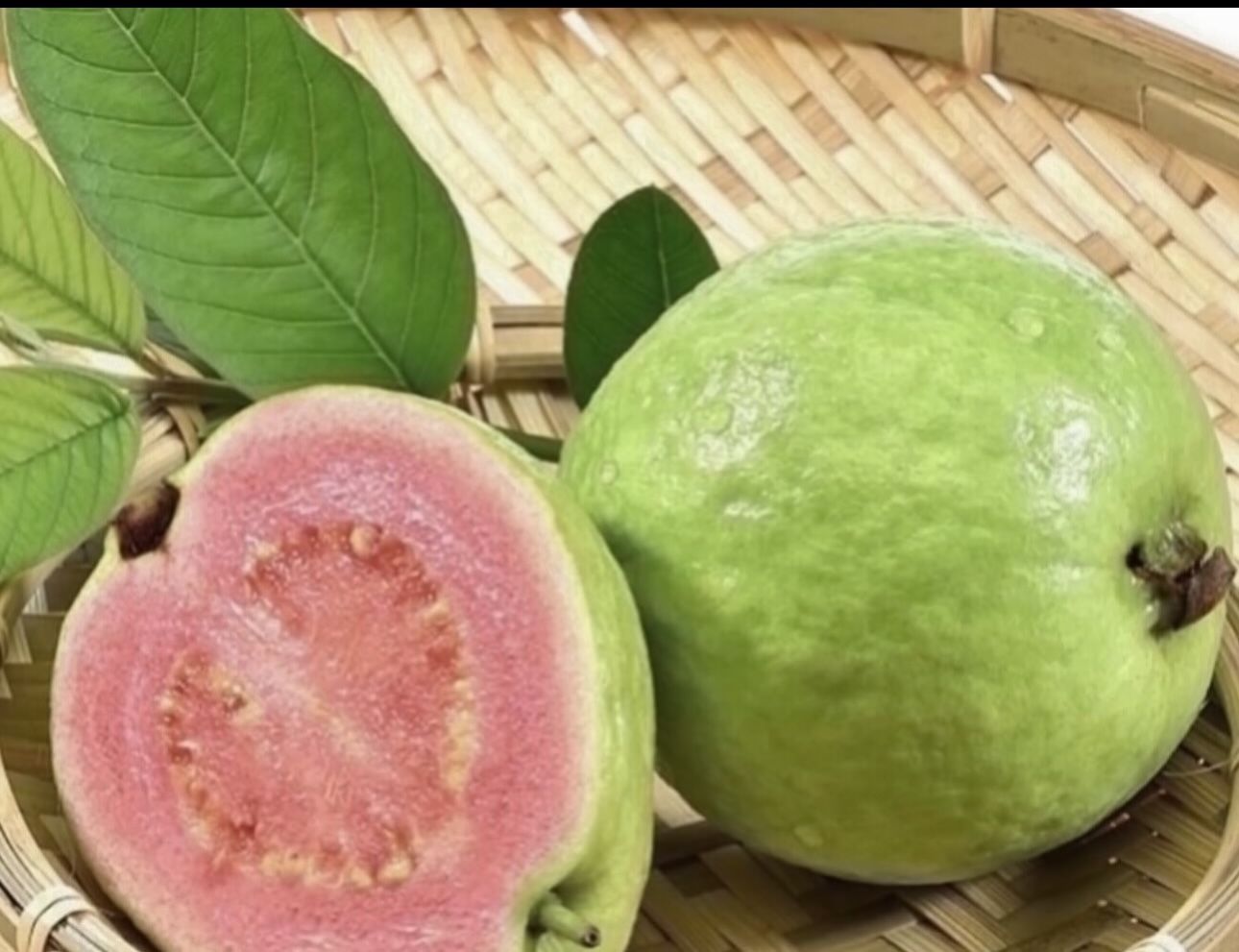 Pink Guava Trees 4F The Tall $40 Each Price Firm 
