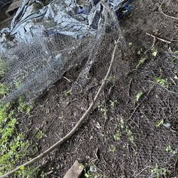 chicken Wire