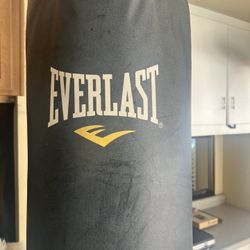 Everlast Punching Bag