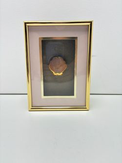 Framed Seashell Wall Art Gold Frame