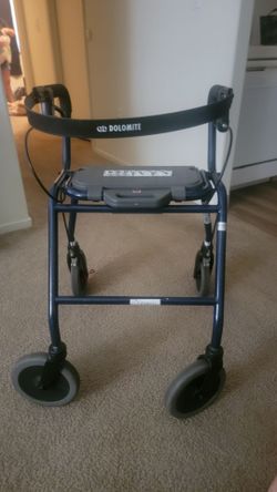 Adult walker