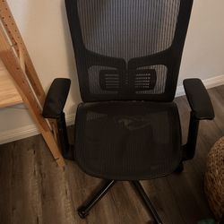 Free Office Chair