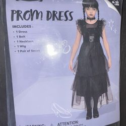 Prom Dress Costume