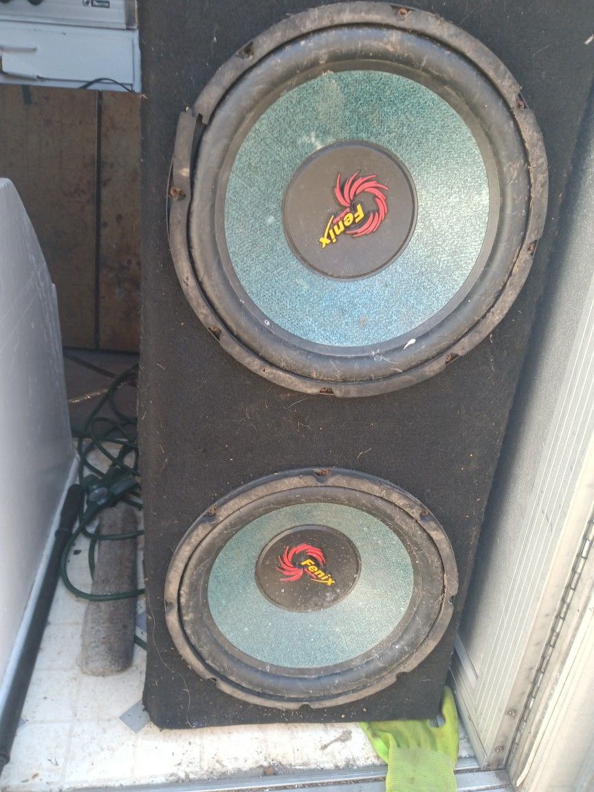 Fenix 2x12 Sub In Box