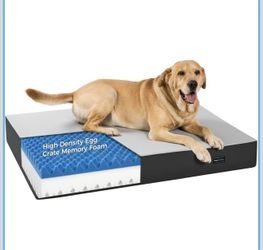 Brand New 5 Inch Thick Orthopedic Dog Bed for Medium & Large Dogs