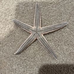 Starfish