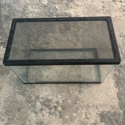 10 Gallon Fish Tank With Lid