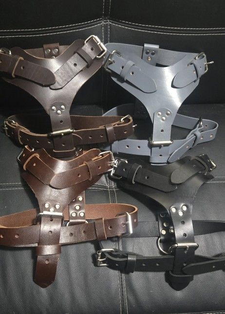 Dog Harness