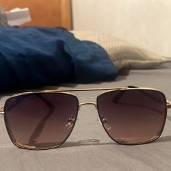 Brown And Gold Aviator Sunglasses New 