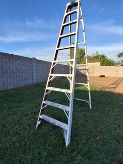 10' werner steep ladder