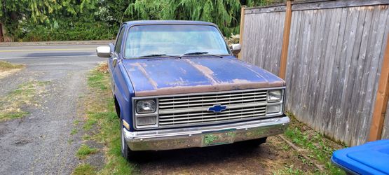 1984 Chevy C10