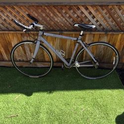 Iron Horse 30 Transit 