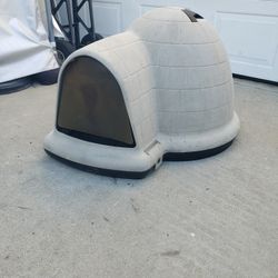 Dog House 