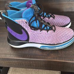 Cole Haans/Lebron Nike