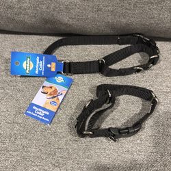 Dog collar Martingale collar with quick snap, buckle size, medium, and small