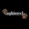 CaughtinStock