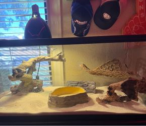 Reptile tank and ALL supplies!