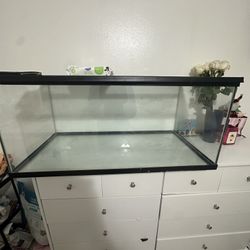 40 Gallon For Sale