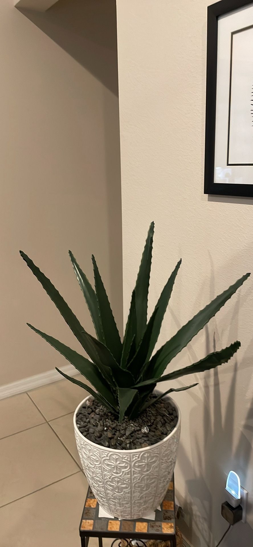 Fake Vera Aloe Plant