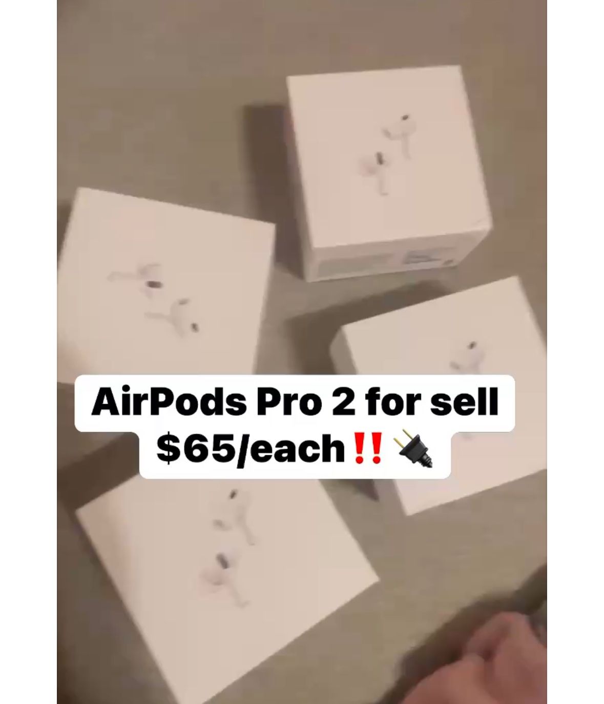 Pro 2