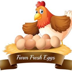 Fresh Eggs ! Collected Daily! Huevo Del Dia A Buen Precio