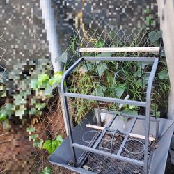 Perch Cage  Parrot  Bird