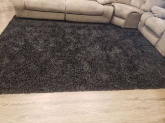 Area Rug Brand New