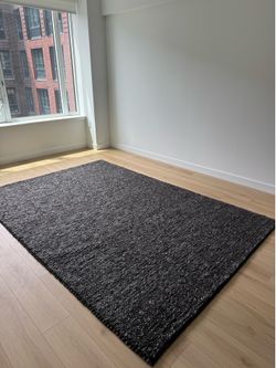 Crate and Barrel New 6x9 rug