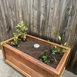Planter Box 